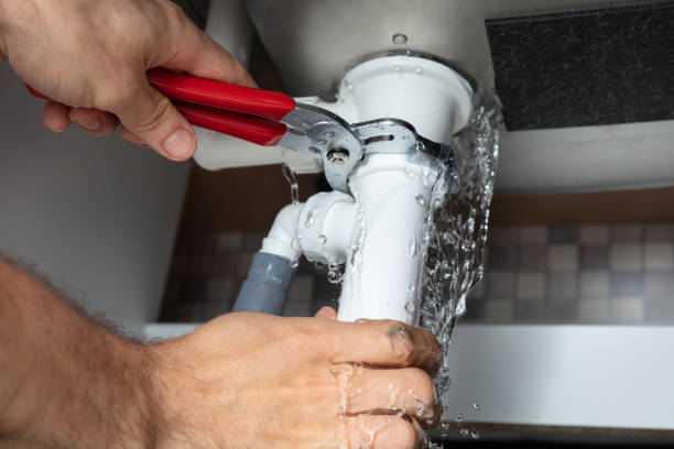 Best Flood restoration services  in Edcouch, TX