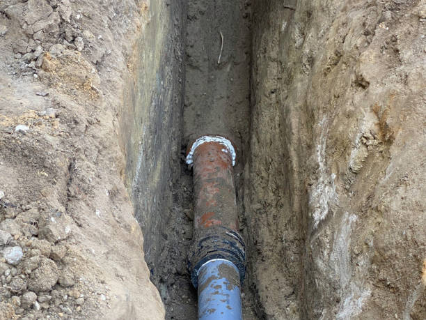 Best Basement water damage restoration  in Edcouch, TX