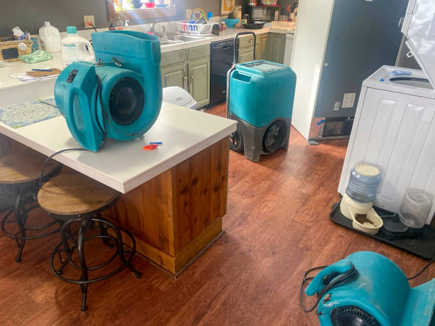 Best Sewage cleanup and water damage restoration  in Edcouch, TX