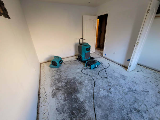 Best 24/7 water damage repair  in Edcouch, TX
