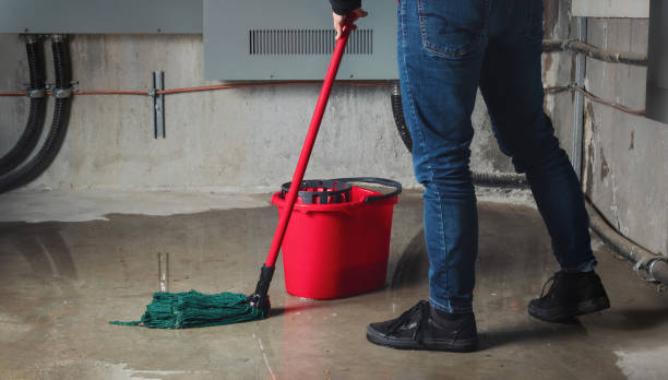 Best Flooded house restoration  in Edcouch, TX