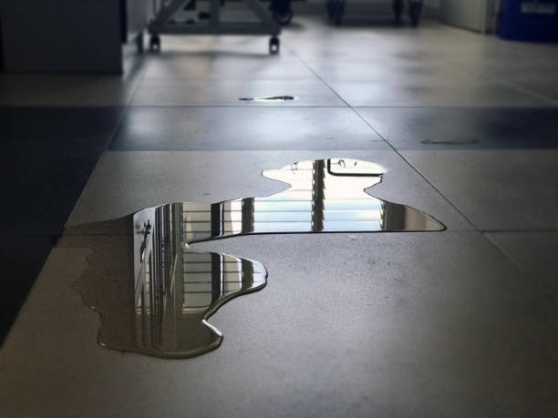 Best Water damage restoration specialists  in Edcouch, TX