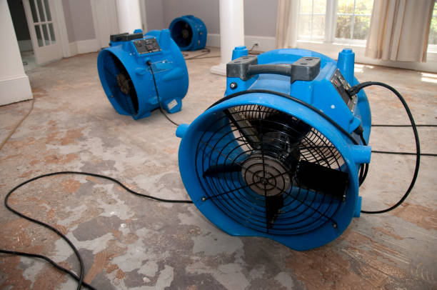 Best Water damage restoration cost  in Edcouch, TX
