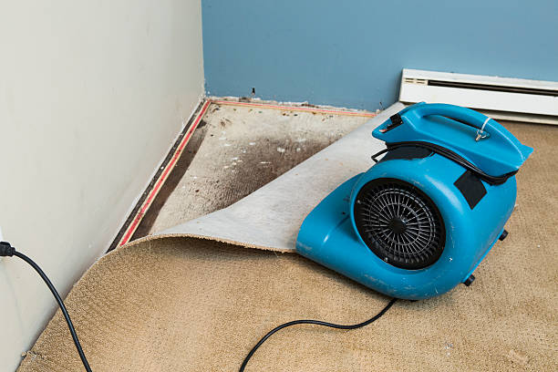 Best Emergency water damage restoration  in Edcouch, TX